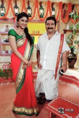 Praveena Kadiyala Gets Adarsha Mahila Puraskaaram
